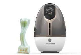 森林氧吧3.0